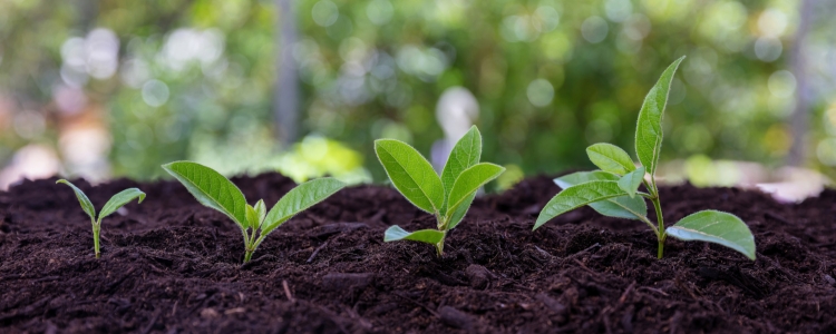 Nouvelle-Aquitaine: A Center of Excellence for Agroecology