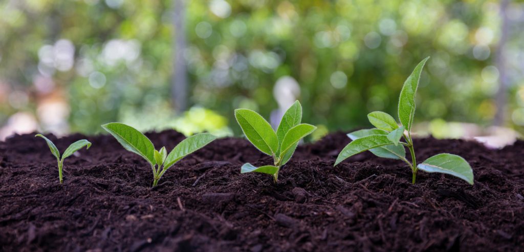 Nouvelle-Aquitaine: A Center of Excellence for Agroecology