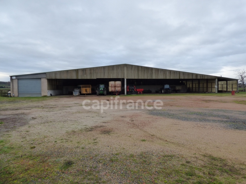 For sale – 900 m² non-divisible warehouse in Marcigny, near Mâcon (71)